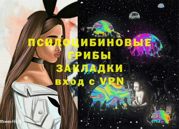 гидра Кинешма