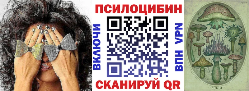Галлюциногенные грибы Cubensis  Купить где  Короча 